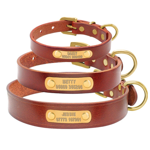 Dog Collar Genuine Leather Free Engraving Dog Nation