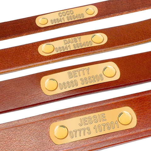 Dog Collar Genuine Leather Free Engraving Dog Nation