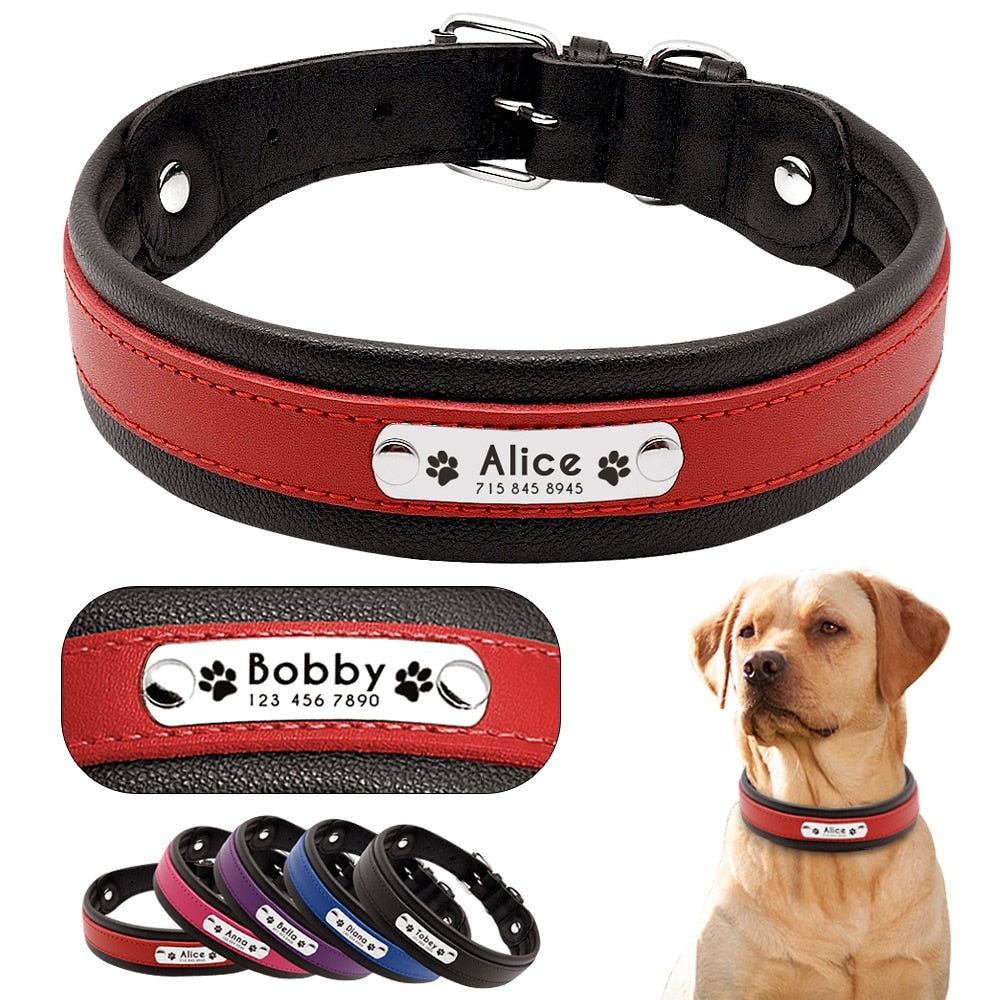 Genuine Leather Personalised Dog Collar Dog Nation