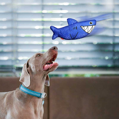 Dog Soft Toy Shark Dog Nation