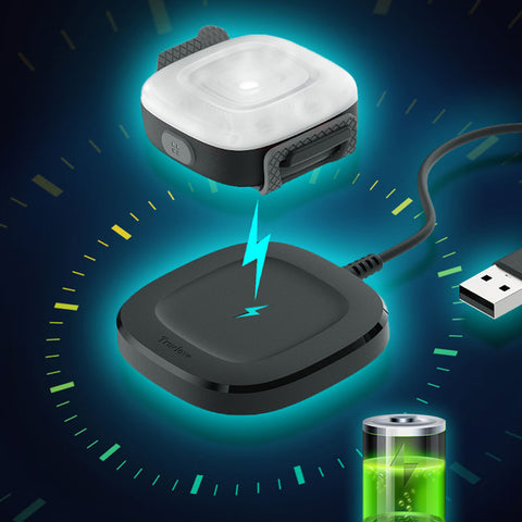 Rechargeable LED for Dog Collars & Harnesses Waterproof Dog Nation